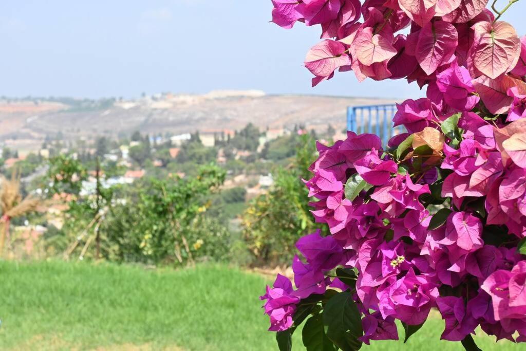 מטולה מול חרמוןヴィラ エクステリア 写真